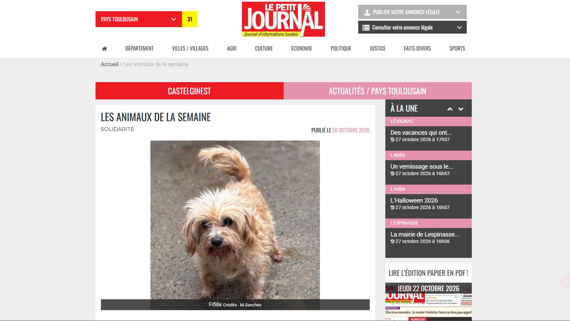 ILS CHERCHENT UNE FAMILLE - LE PETIT JOURNAL 26 OCT. 2026